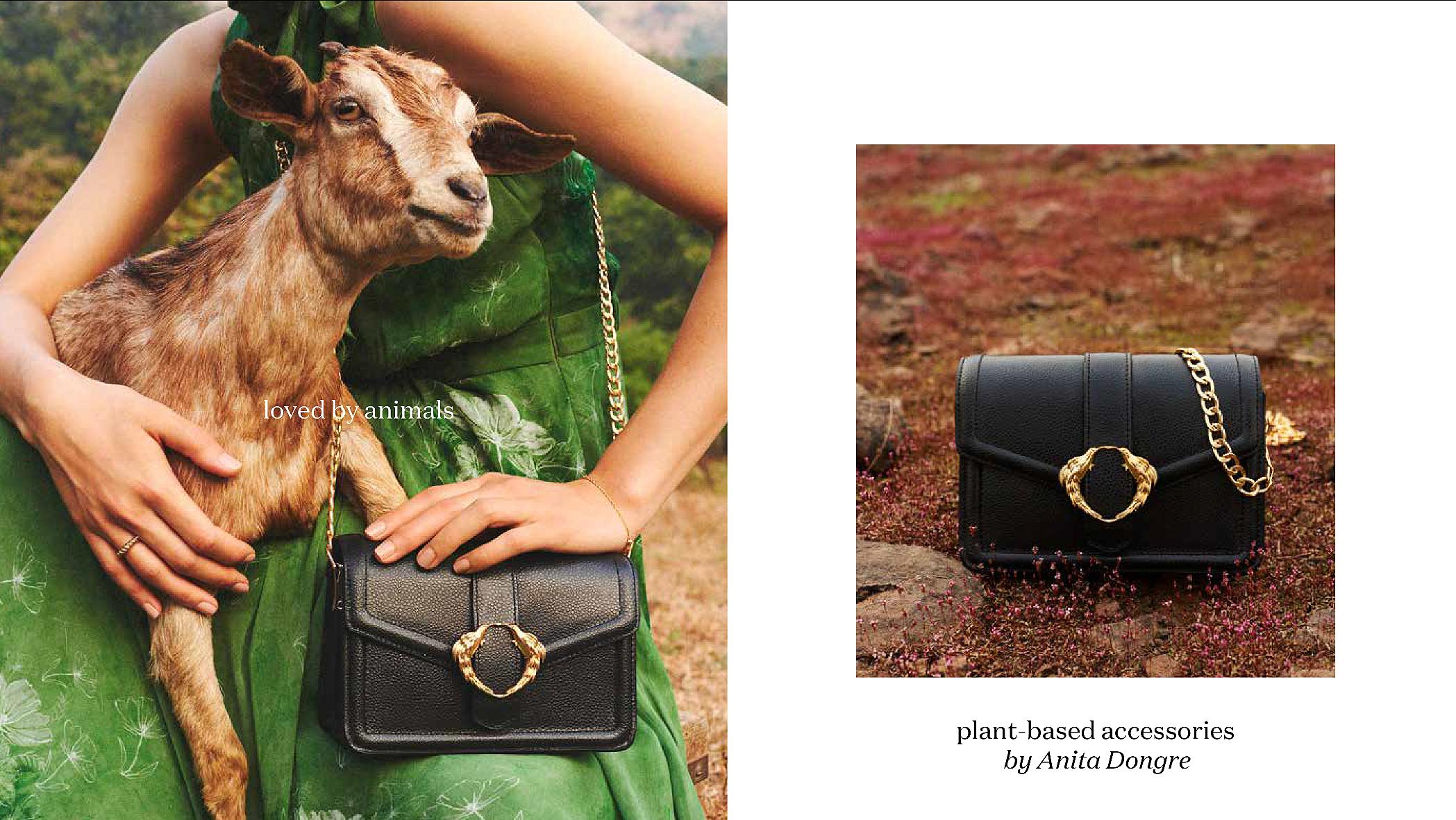 Anita Dongre Image 2