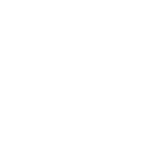Share Icon