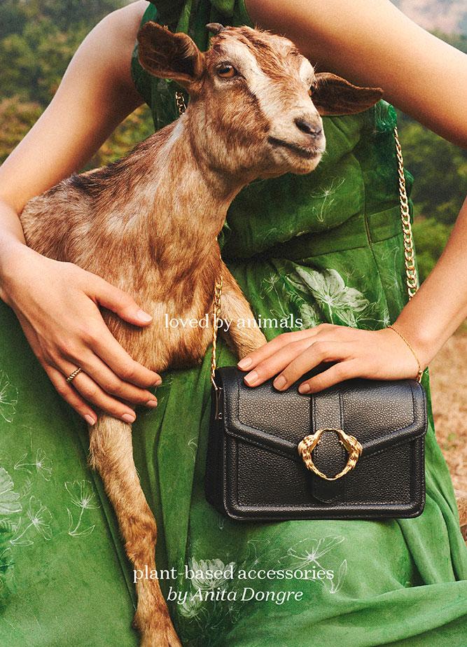 Anita Dongre Mobile 4